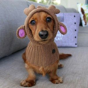 Meet your Posher, Andreana